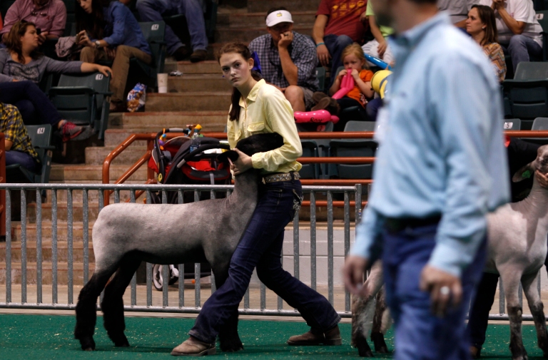 Makenzie Driggers, 14, a 9th grader from Effingham County, shows her lamb, Calliope, in the 9th grade showmanship competition at the Georgia National Fair in Perry, Georgia, on Saturday, October 10, 2015. Participants must handle their sheep while keeping their eyes on the judge at all times. 